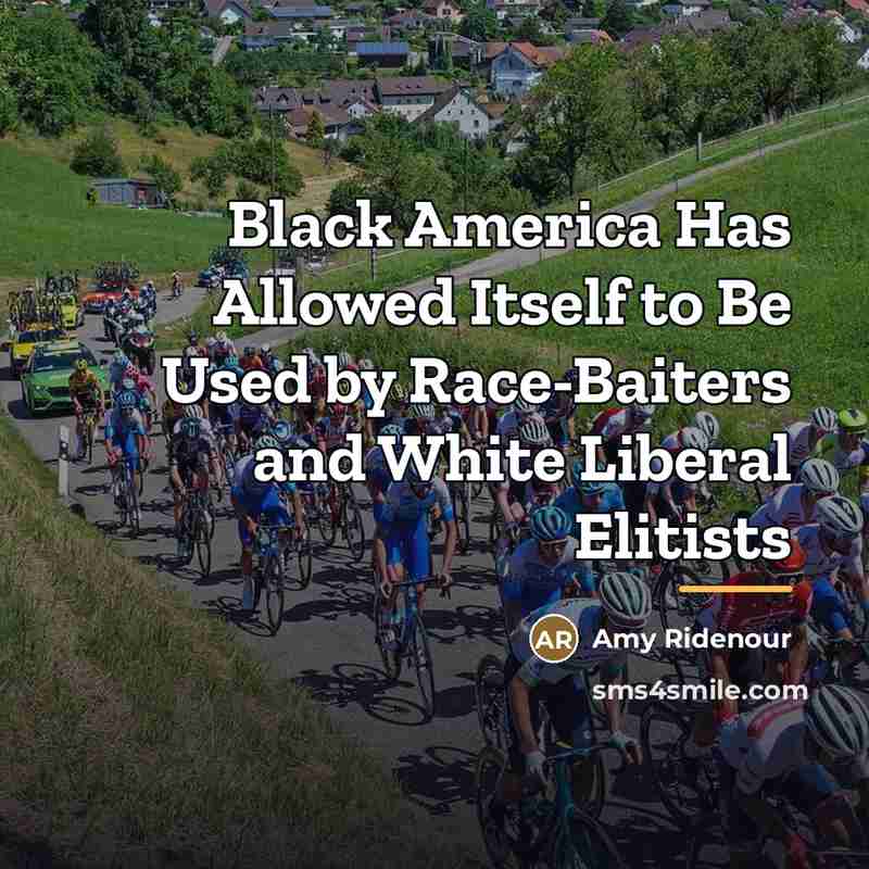 “Black America Has Allowed Itself to Be Used by Race-Baiters…” quote by Amy Ridenour