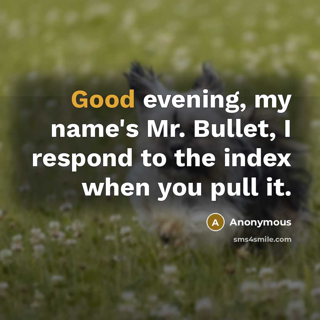 “Good evening, my name's Mr. Bullet, I respond to the…” quote by Anonymous