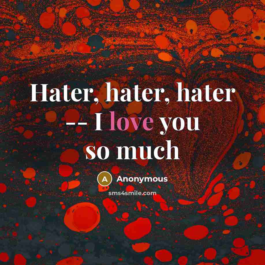 “Hater, hater, hater -- I love you so much…” quote by Anonymous