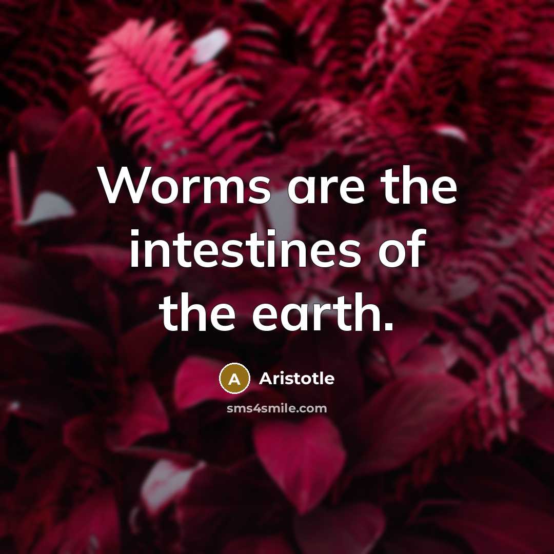 “Worms are the intestines of the earth.…” quote by Aristotle