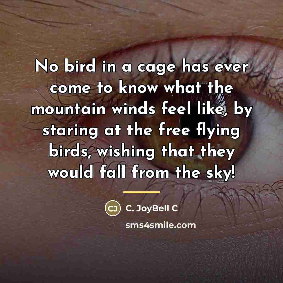 “No bird in a cage has ever come to know…” quote by C. JoyBell C