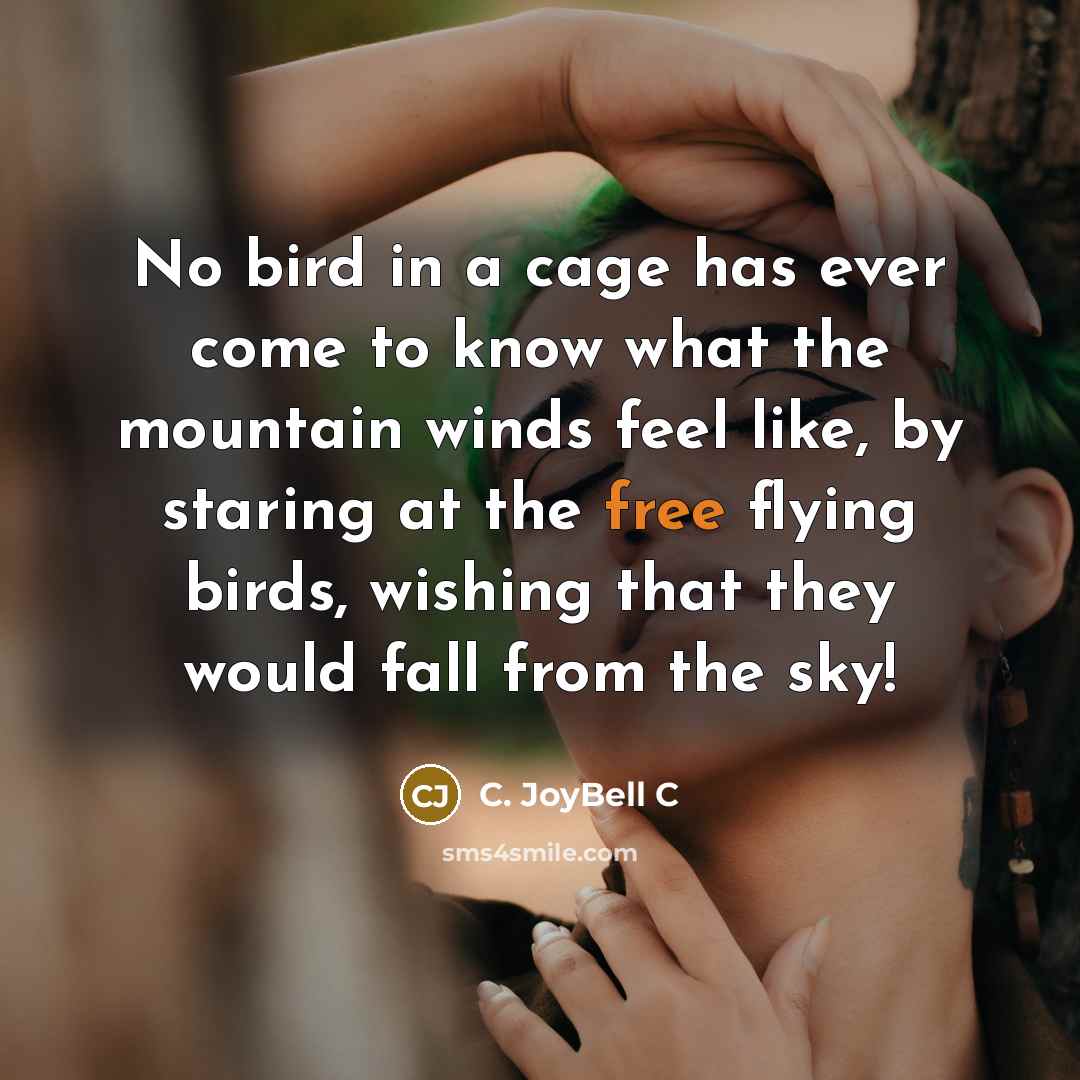 “No bird in a cage has ever come to know what the mountain winds feel like, by staring at the free flying birds, wishing that they would fall from the sky!” quote by C. JoyBell C