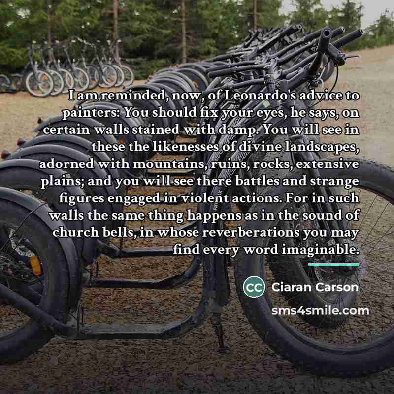 “I am reminded, now, of Leonardo's advice to painters: You…” quote by Ciaran Carson