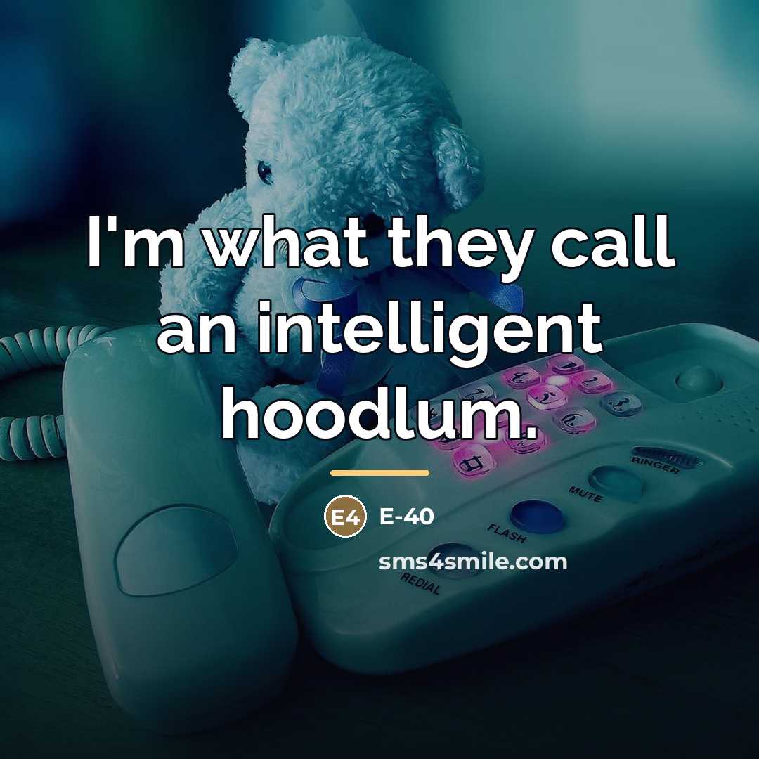 “I'm what they call an intelligent hoodlum.…” quote by E-40