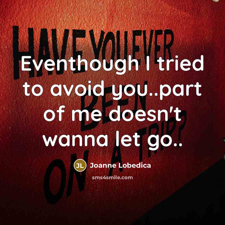 “Eventhough I tried to avoid you..part of me doesn't wanna let go..” quote by Joanne Lobedica