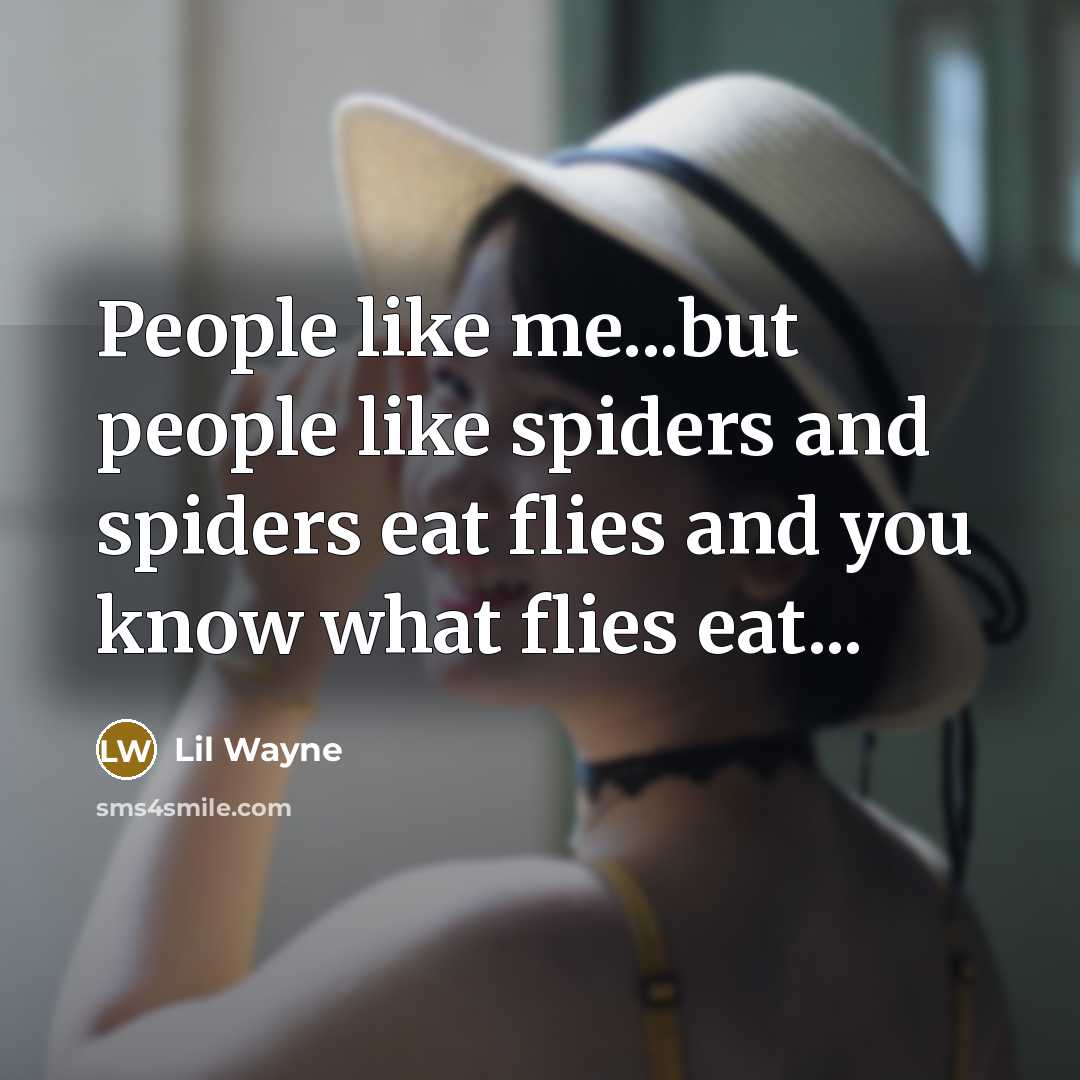 “People like me...but people like spiders and spiders eat flies…” quote by Lil Wayne