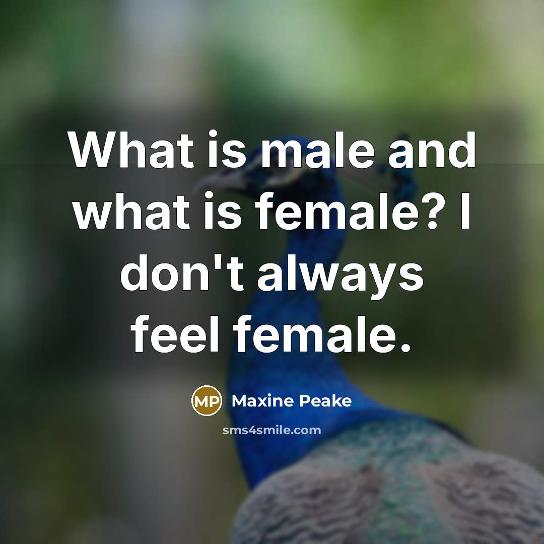 “What is male and what is female? I don't always…” quote by Maxine Peake