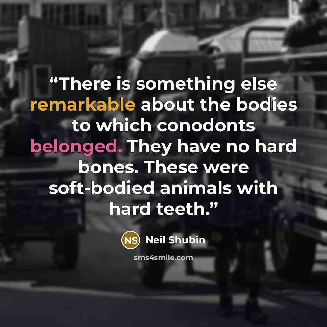 “There is something else remarkable about the bodies to which conodonts belonged. They have no hard bones. These were soft-bodied animals with hard teeth.” quote by Neil Shubin
