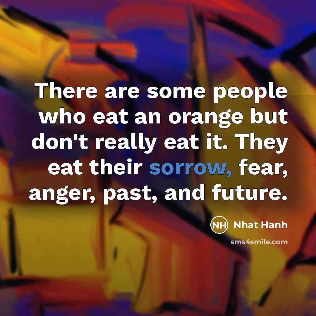 “There are some people who eat an orange but don't…” quote by Nhat Hanh