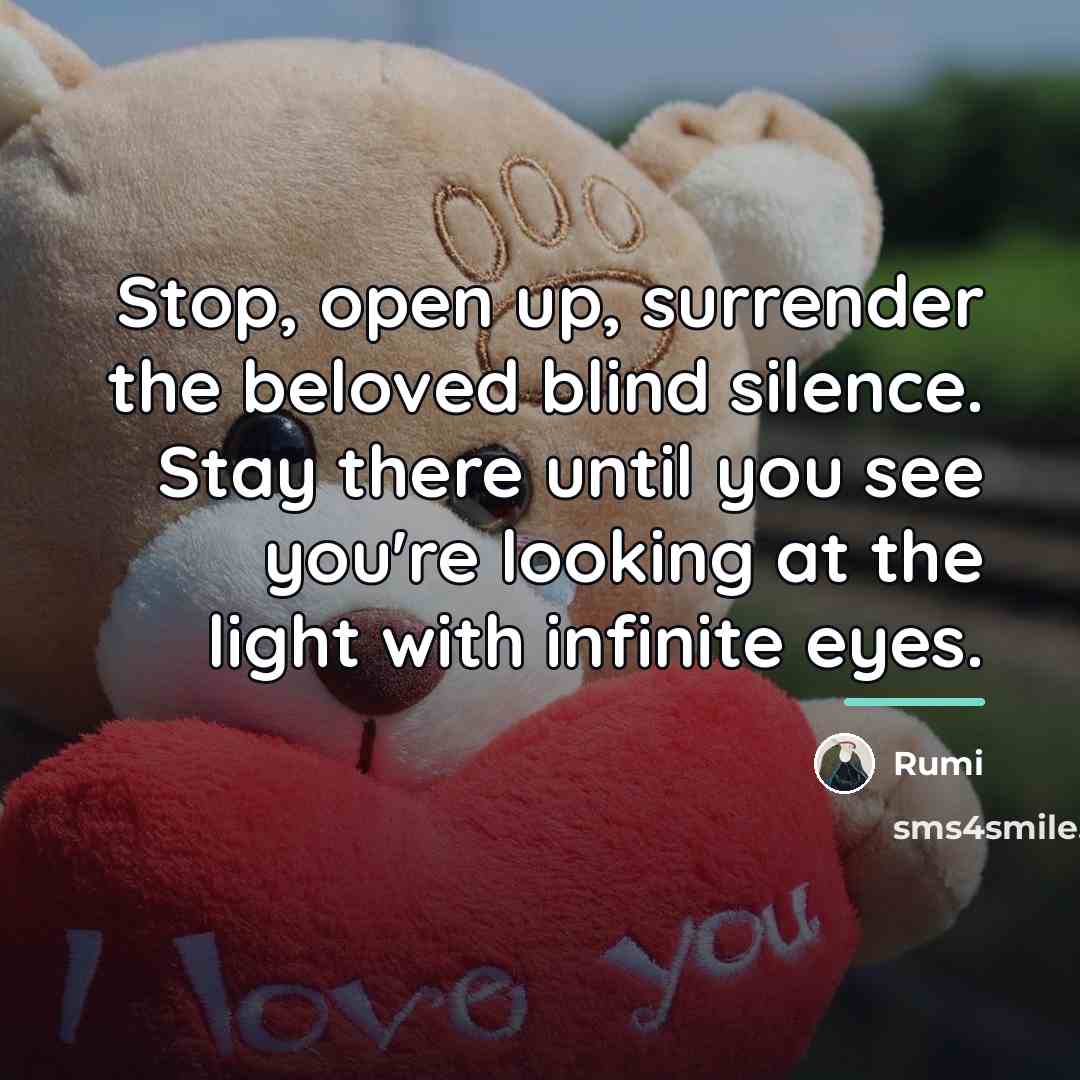 “Stop, open up, surrender the beloved blind silence. Stay there…” quote by Rumi