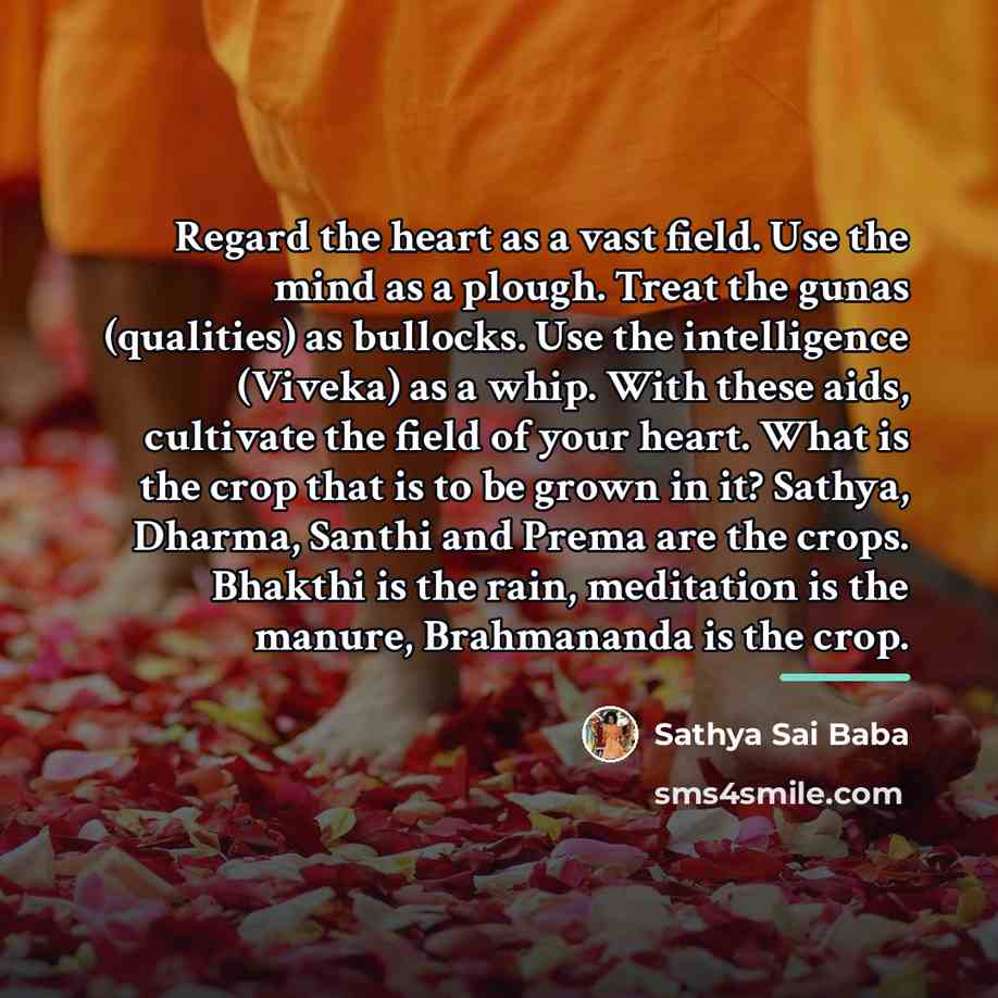 “Regard the heart as a vast field. Use the mind…” quote by Sathya Sai Baba