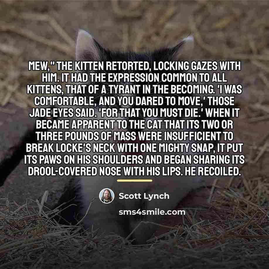 “Mew," the kitten retorted, locking gazes with him. It had…” quote by Scott Lynch