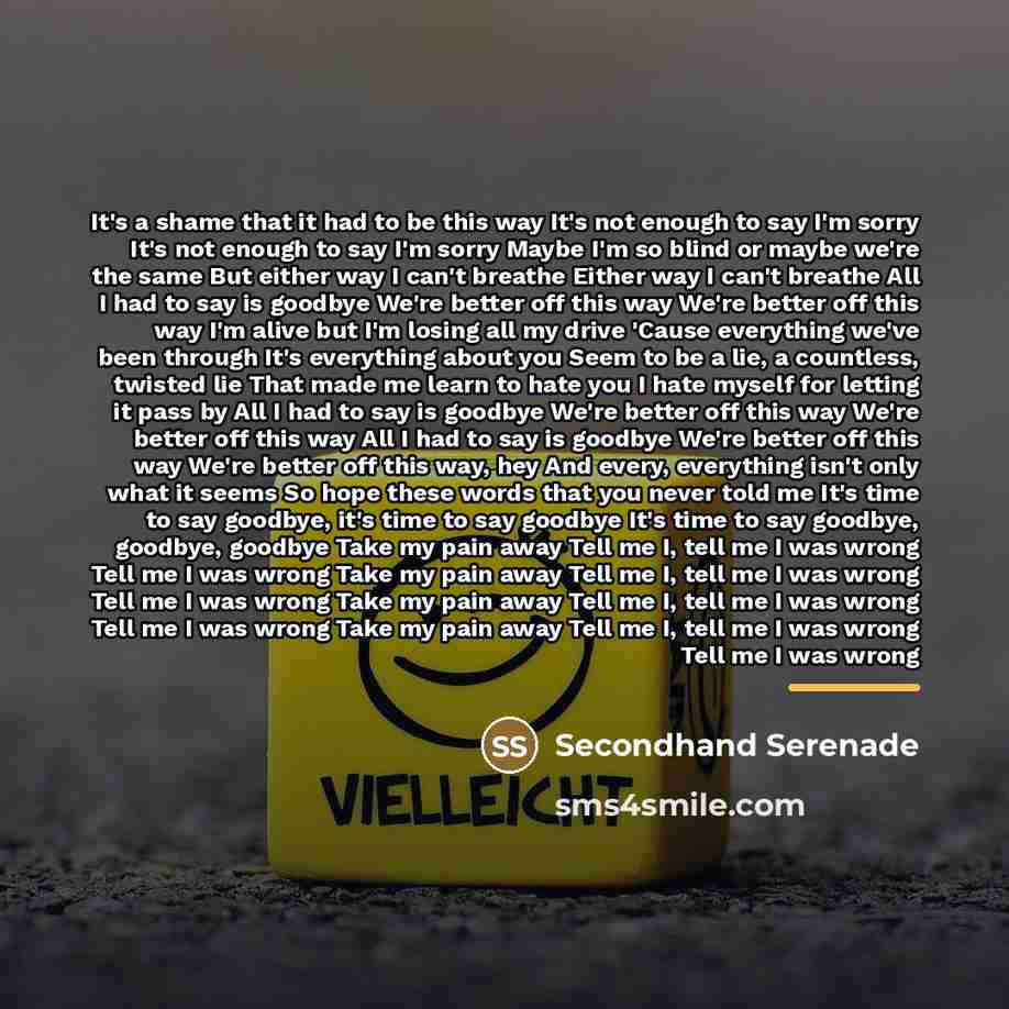 “It's a shame that it had to be this way…” quote by Secondhand Serenade