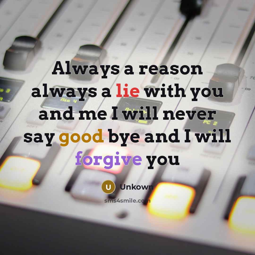 “Always a reason always a lie with you and me I will never say good bye and I will forgive you” quote by Unkown