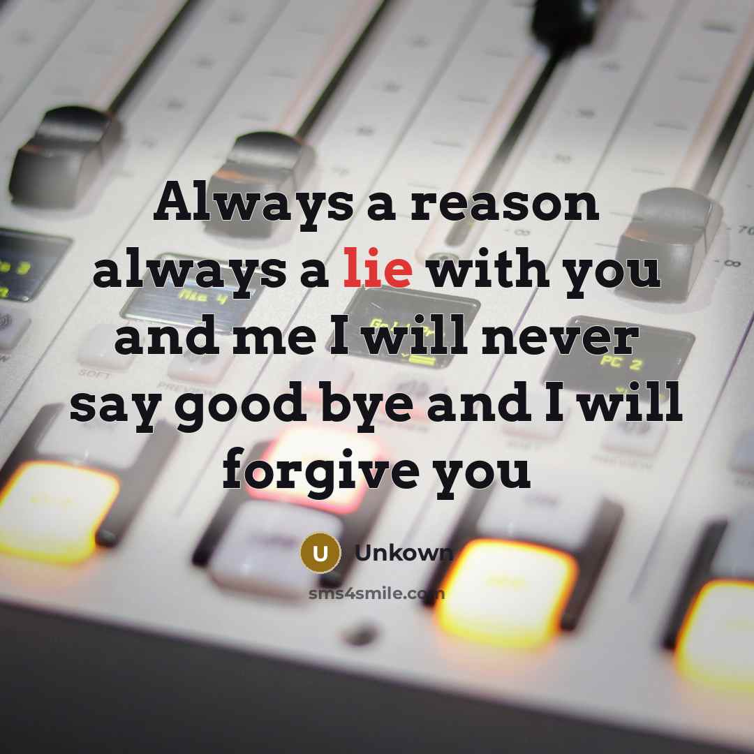 “Always a reason always a lie with you and me I will never say good bye and I will forgive you” quote by Unkown