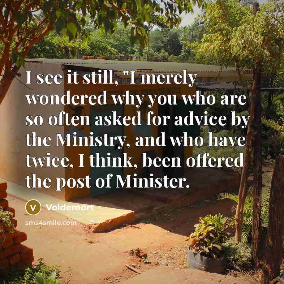 “I see it still, "I merely wondered why you who…” quote by Voldemort