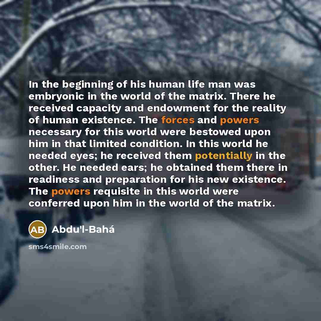 “In the beginning of his human life man was embryonic…” quote by Abdu'l-Bahá