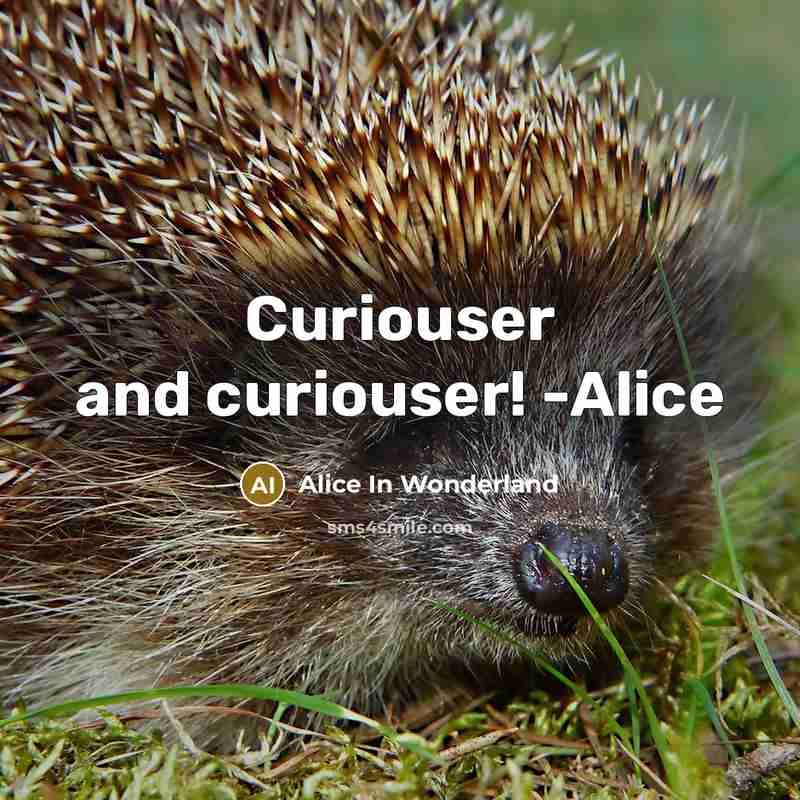 “Curiouser and curiouser! -Alice” quote by Alice In Wonderland