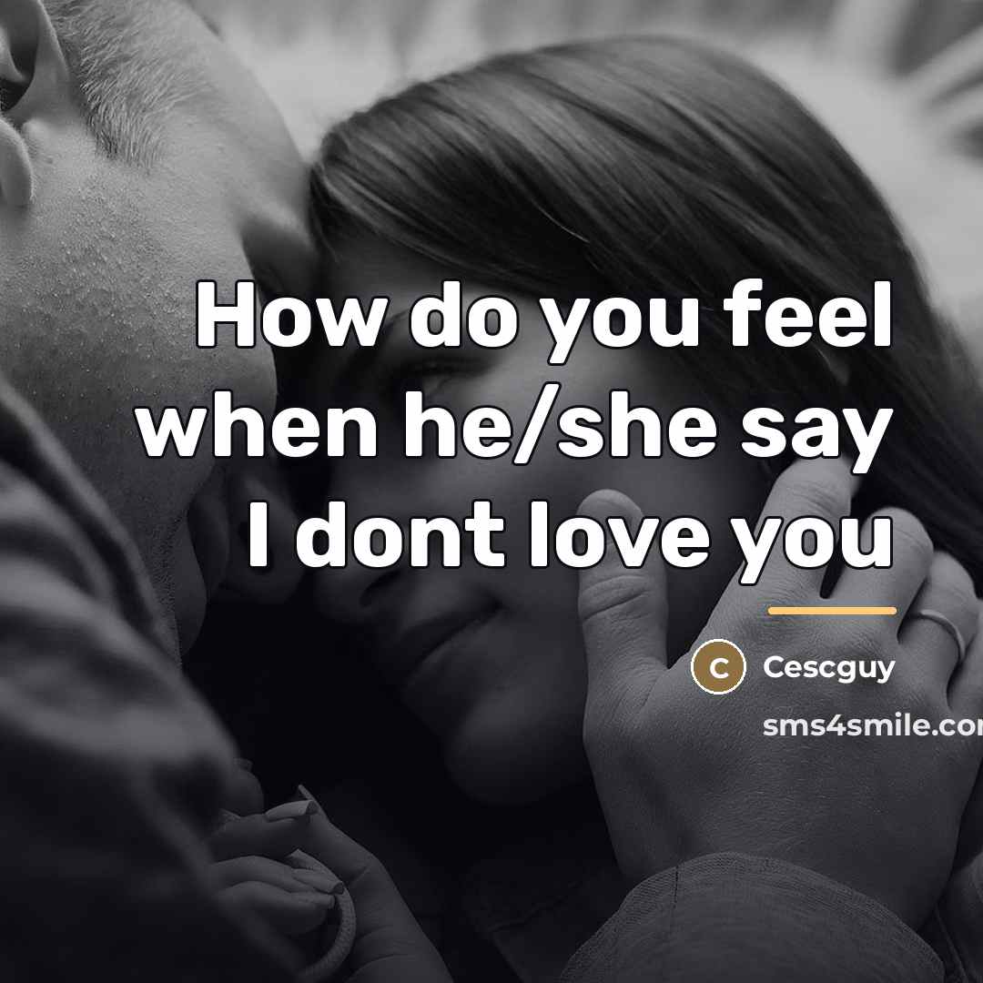 “How do you feel when he/she say I dont love…” quote by Cescguy