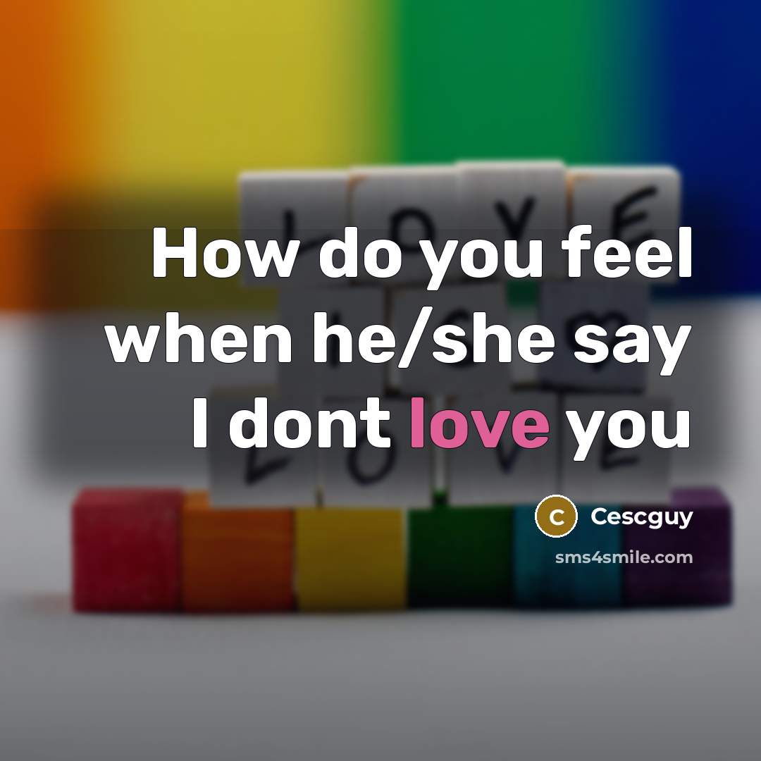“How do you feel when he/she say I dont love you” quote by Cescguy