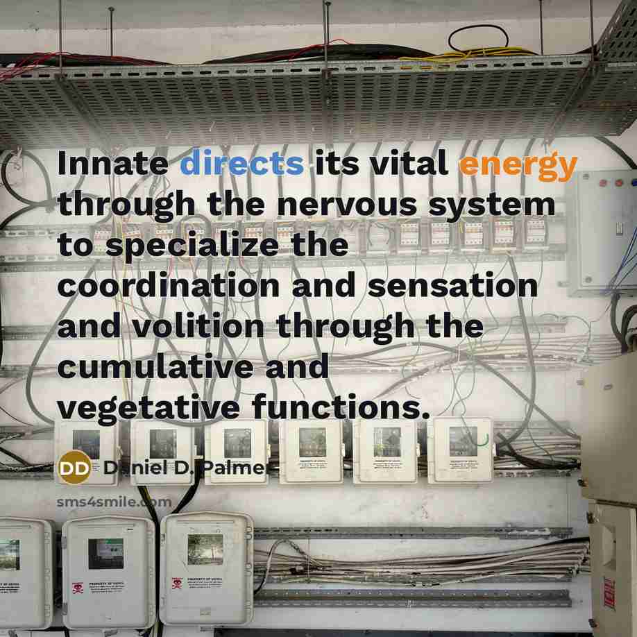 “Innate directs its vital energy through the nervous system to specialize the coordination and sensation and volition through the cumulative and vegetative functions.” quote by Daniel D. Palmer