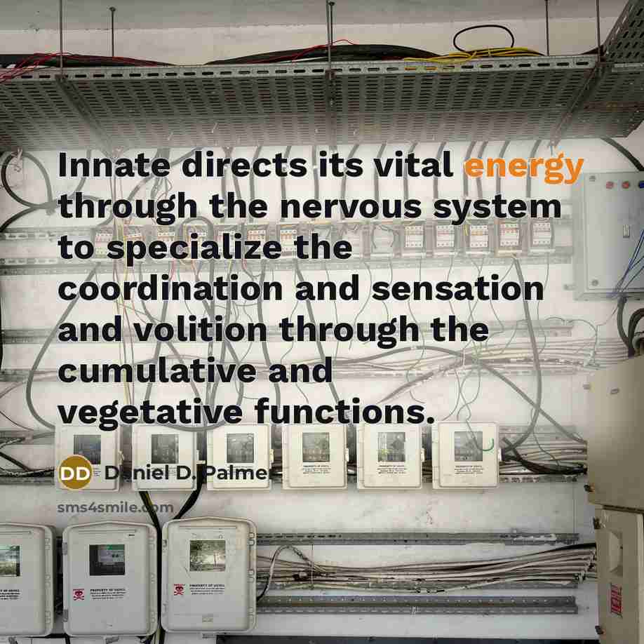 “Innate directs its vital energy through the nervous system to…” quote by Daniel D. Palmer