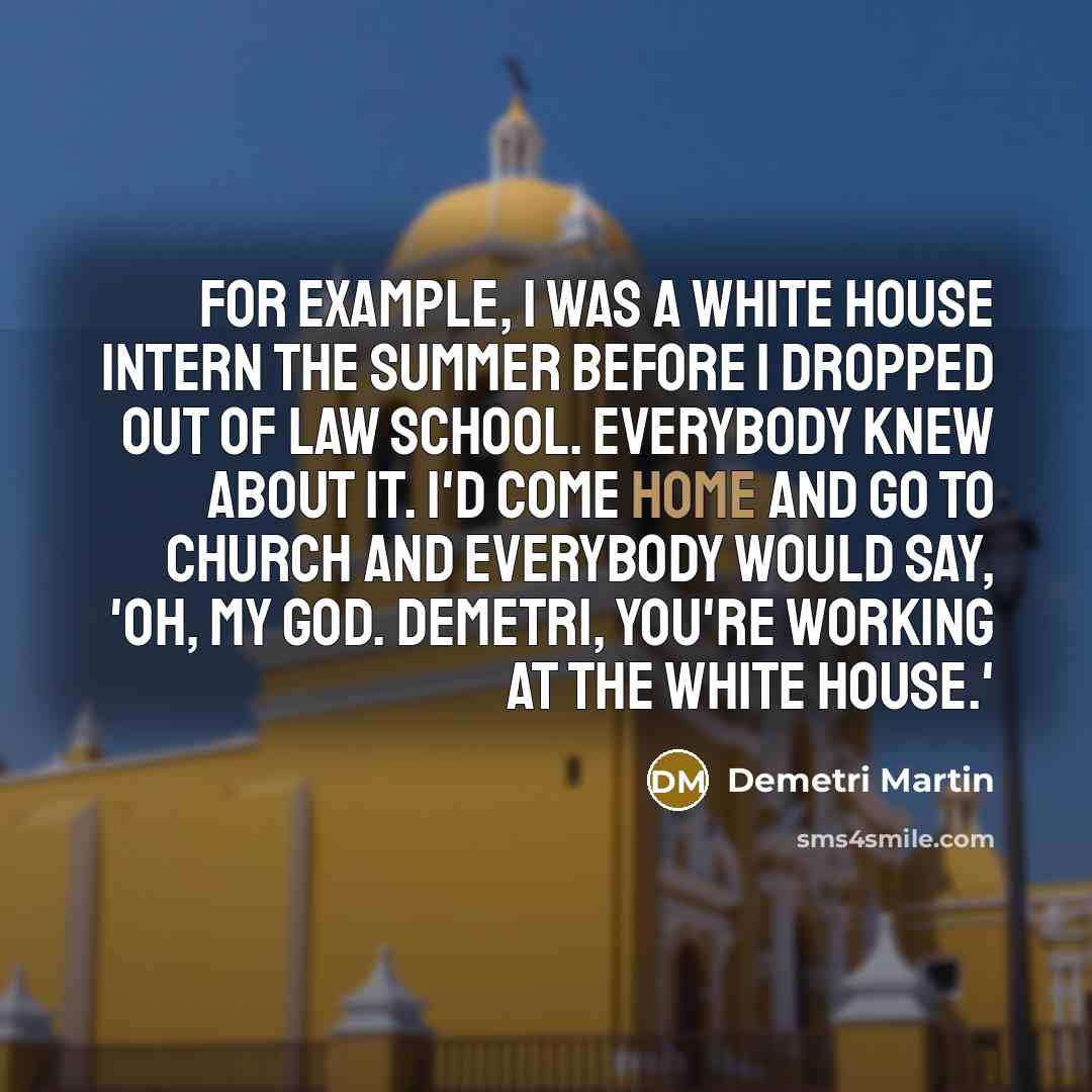 “For example, I was a White House intern the summer…” quote by Demetri Martin