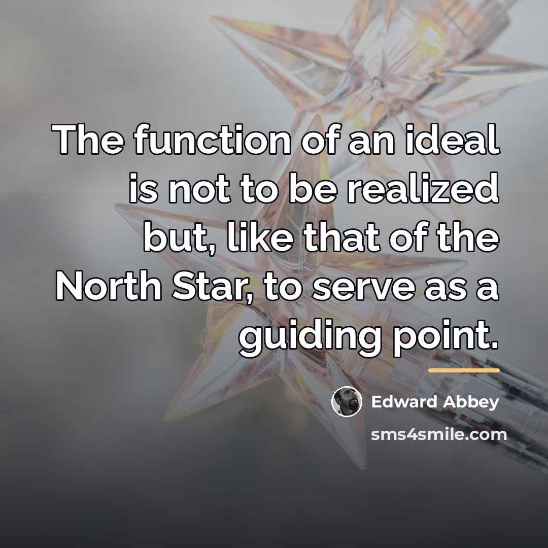 “The function of an ideal is not to be realized…” quote by Edward Abbey
