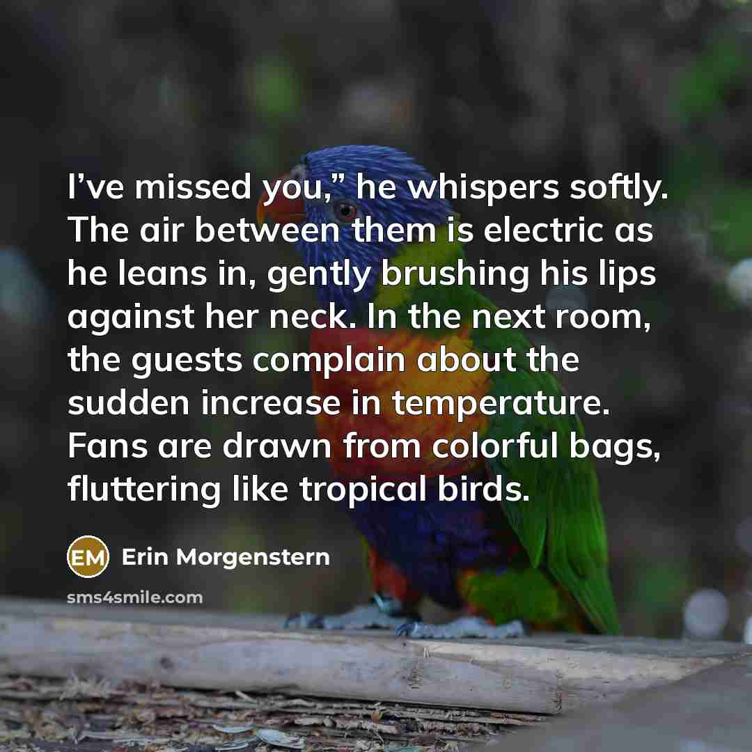 “I’ve missed you,” he whispers softly. The air between them…” quote by Erin Morgenstern