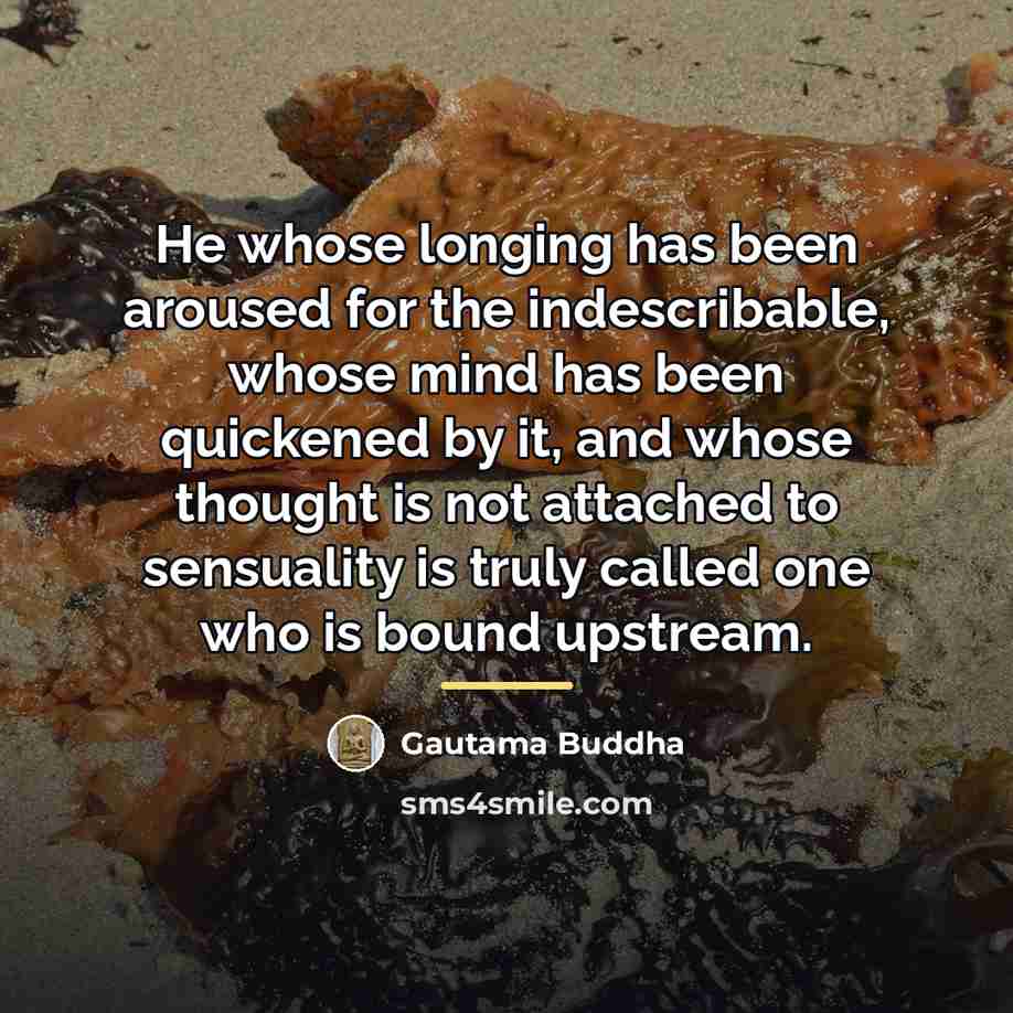 “He whose longing has been aroused for the indescribable, whose…” quote by Gautama Buddha