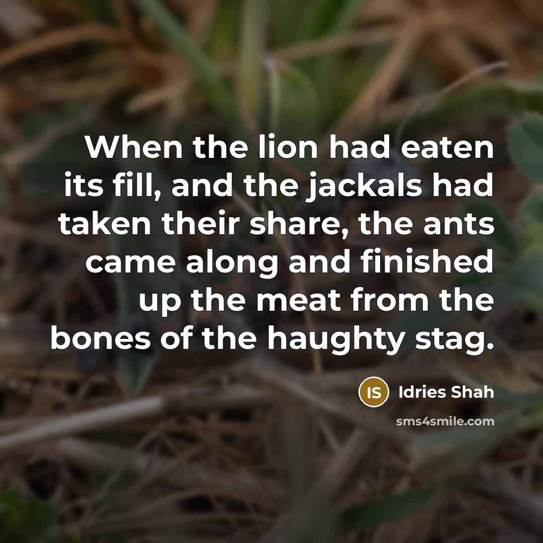 “When the lion had eaten its fill, and the jackals…” quote by Idries Shah