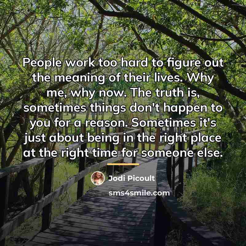 “People work too hard to figure out the meaning of…” quote by Jodi Picoult