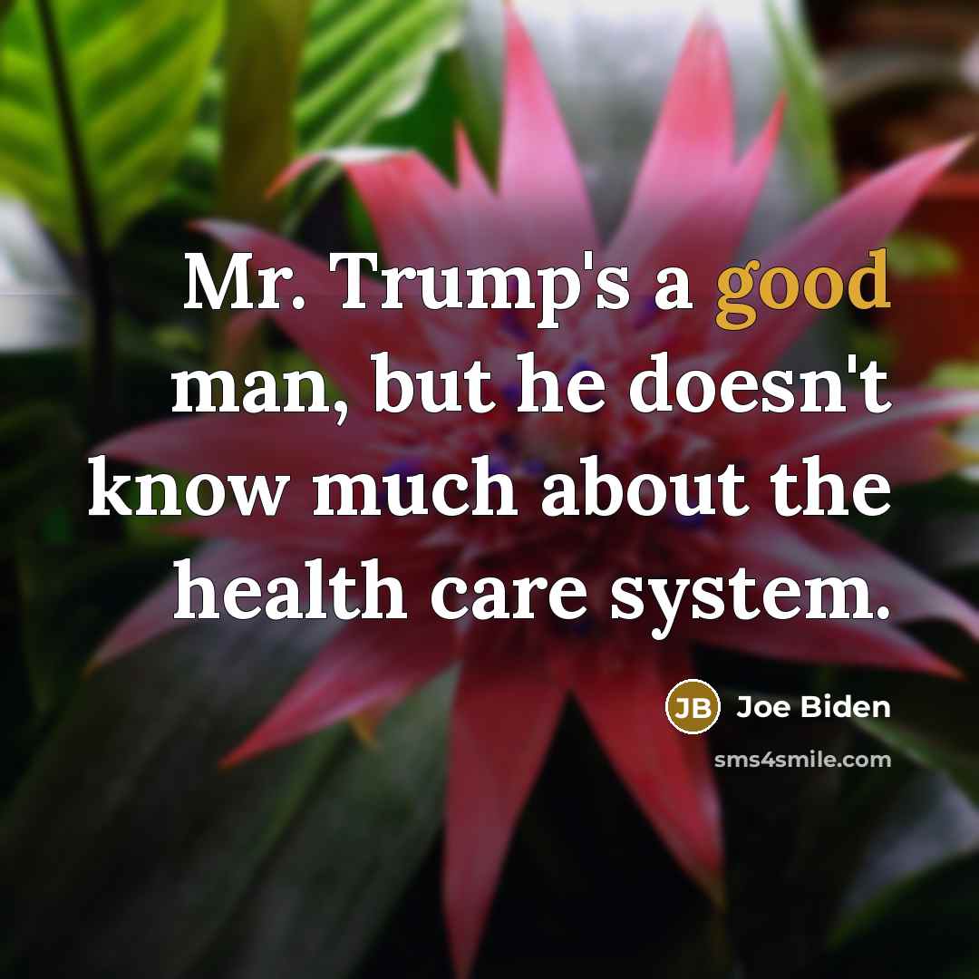 “Mr. Trump's a good man, but he doesn't know much…” quote by Joe Biden
