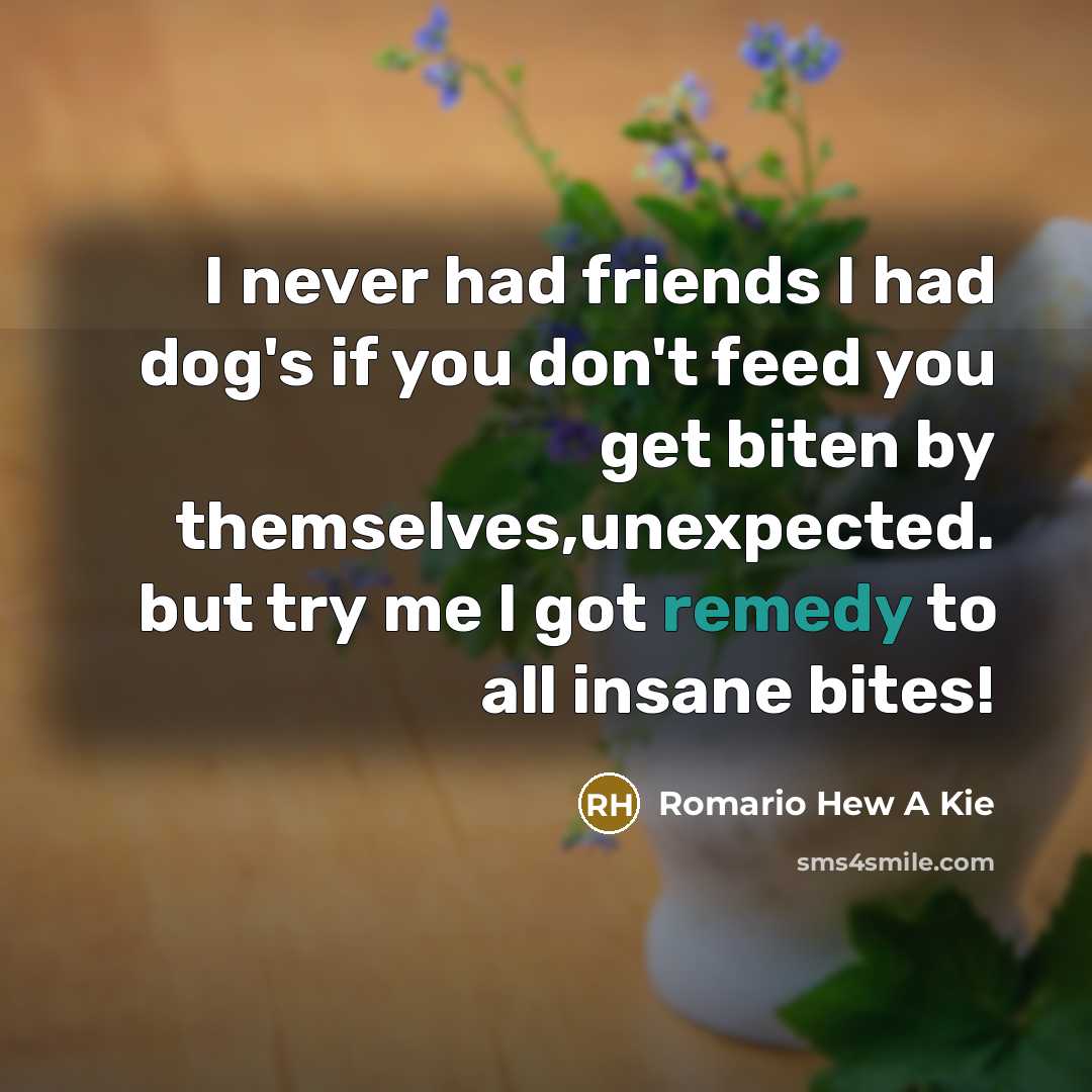 “I never had friends I had dog's if you don't…” quote by Romario Hew A Kie