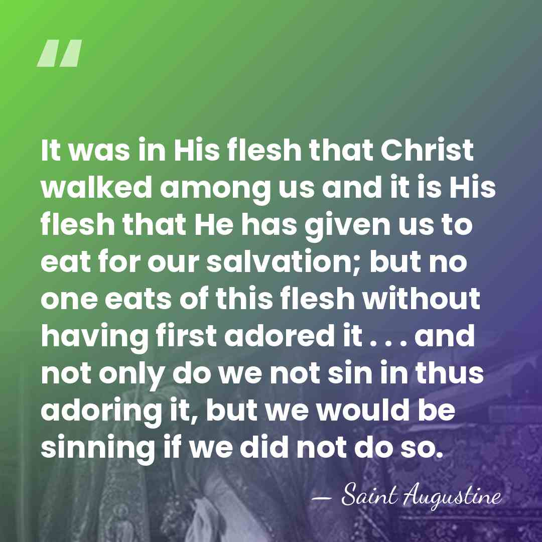 It was in His flesh that Christ walked among us and it&hellip; - Saint Augustine