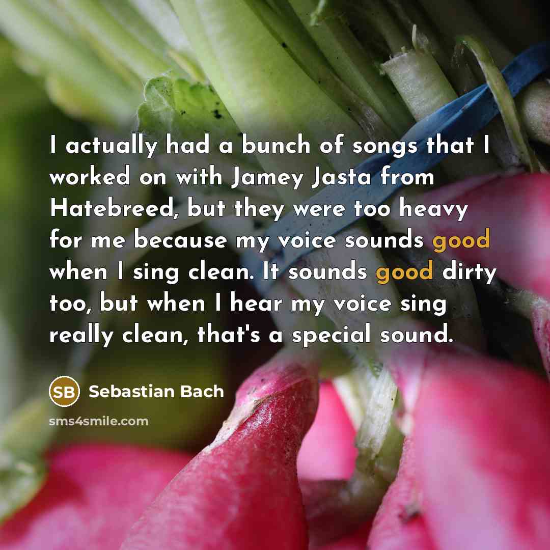 “I actually had a bunch of songs that I worked…” quote by Sebastian Bach
