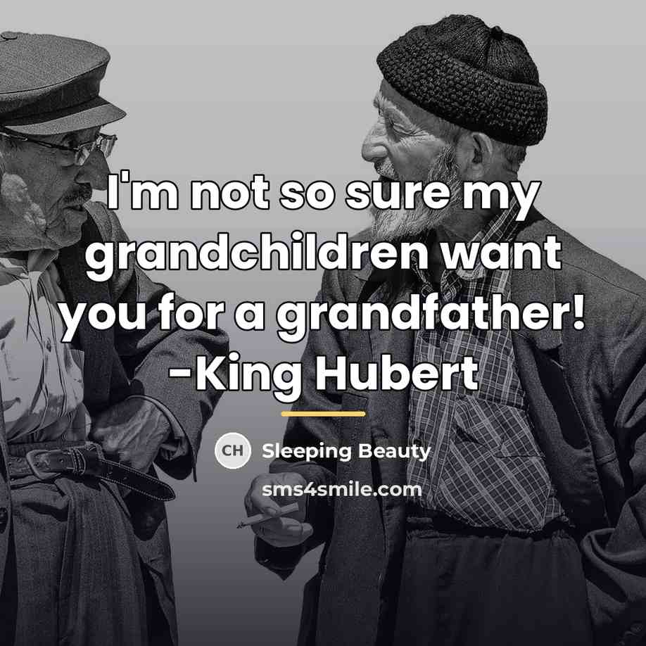 “I'm not so sure my grandchildren want you for a…” quote by Sleeping Beauty