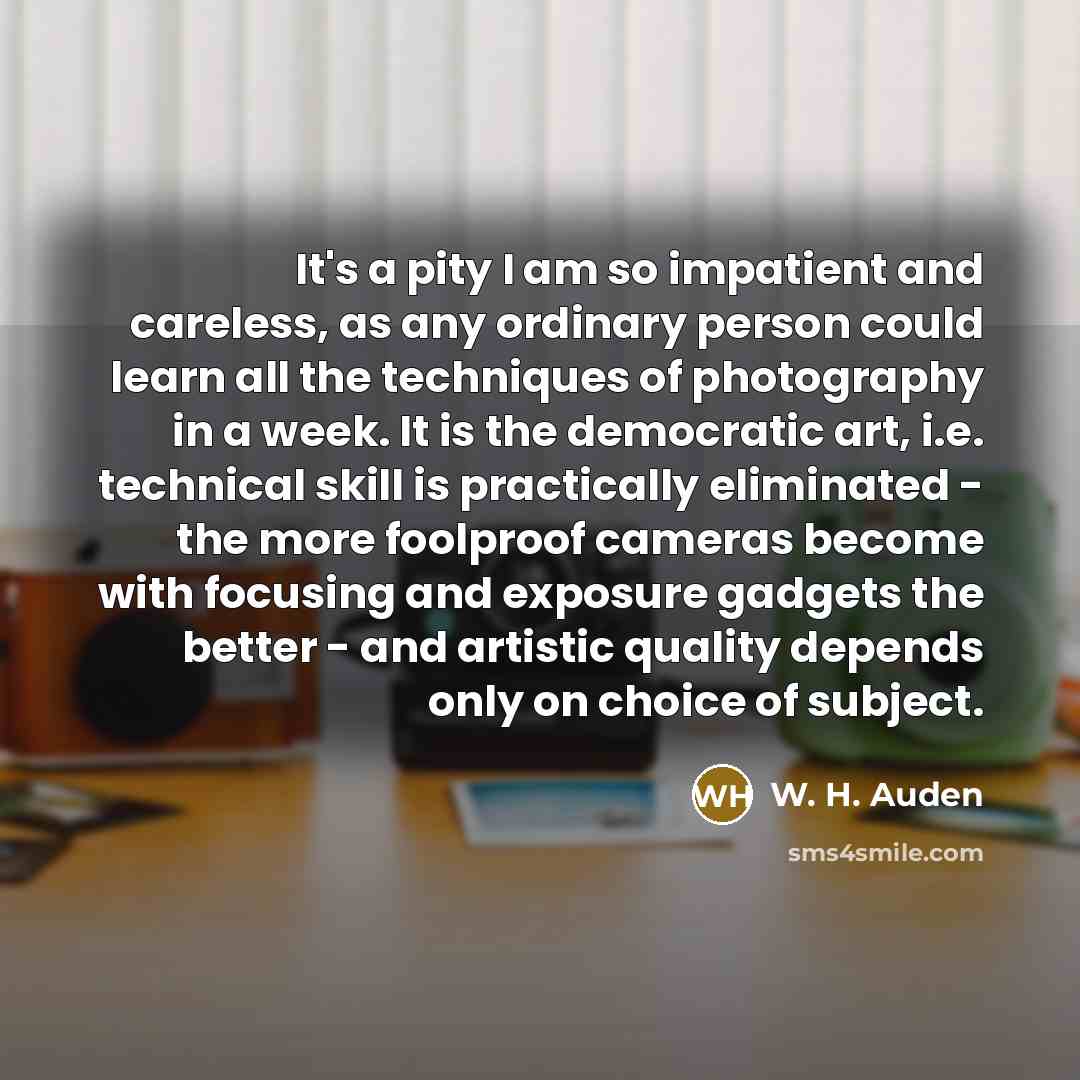 “It's a pity I am so impatient and careless, as…” quote by W. H. Auden