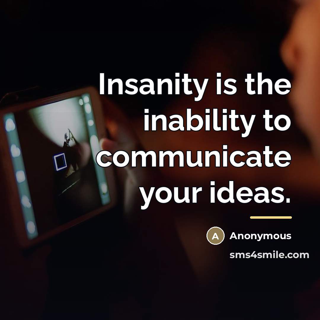“Insanity is the inability to communicate your ideas.…” quote by Anonymous