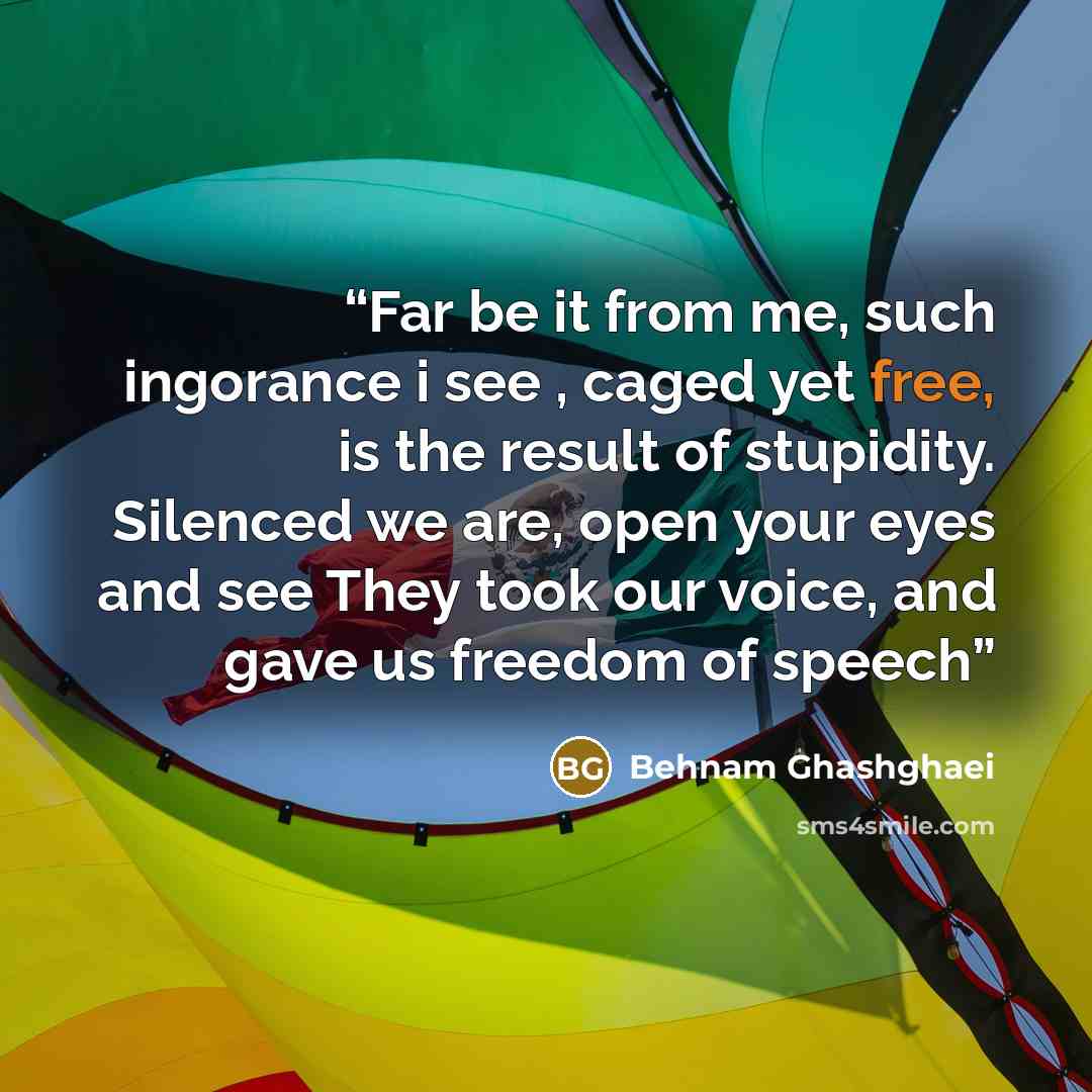 “Far be it from me, such ingorance i see , caged yet free, is the result of stupidity. Silenced we are, open your eyes and see They took our voice, and gave us freedom of speech” quote by Behnam Ghashghaei