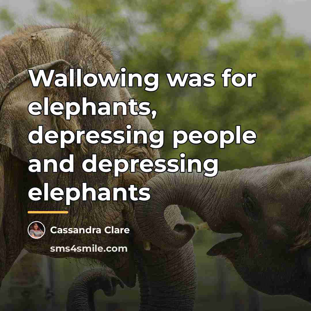 “Wallowing was for elephants, depressing people and depressing elephants…” quote by Cassandra Clare