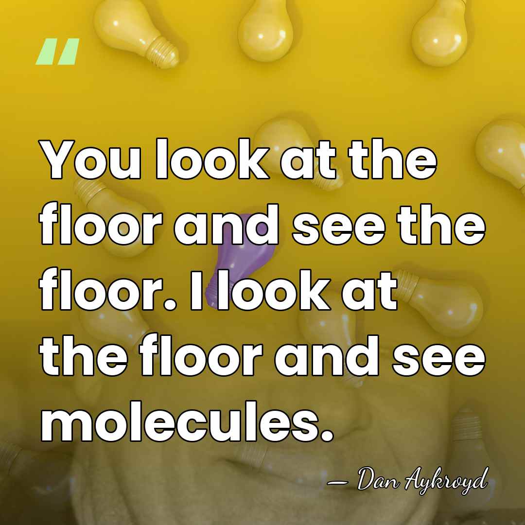 You look at the floor and see the floor. I look at&hellip; - Dan Aykroyd