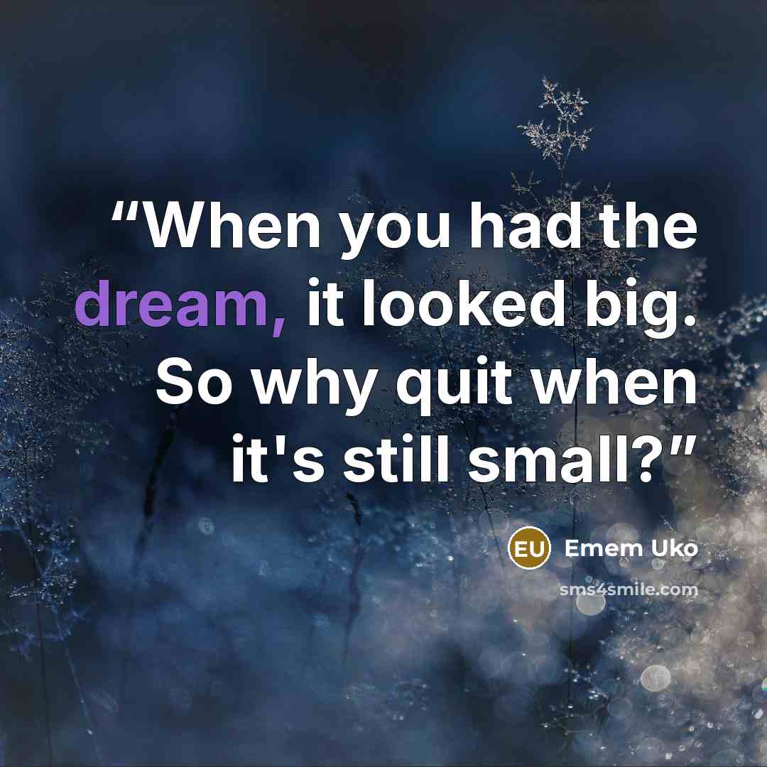 “When you had the dream, it looked big. So why quit when it's still small?” quote by Emem Uko