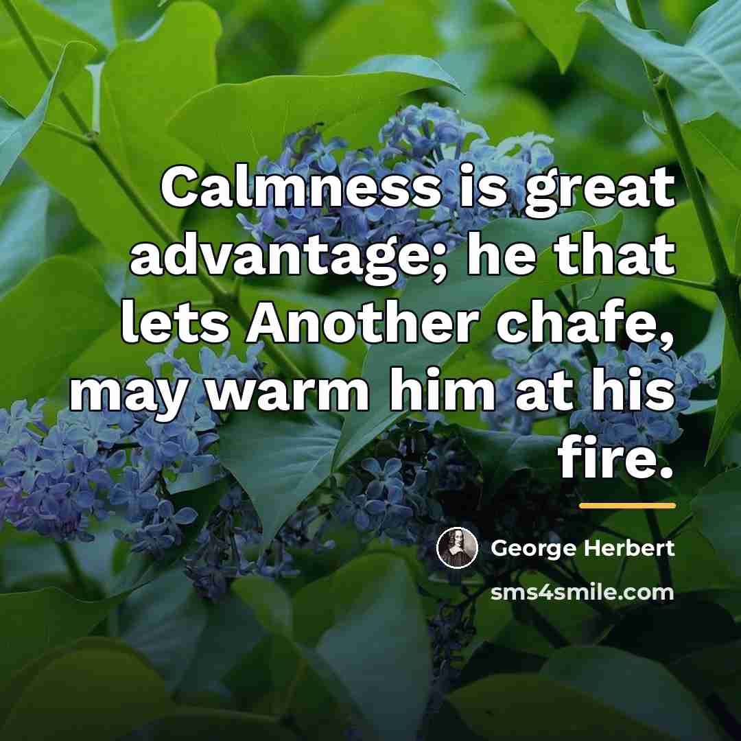 “Calmness is great advantage; he that lets Another chafe, may…” quote by George Herbert