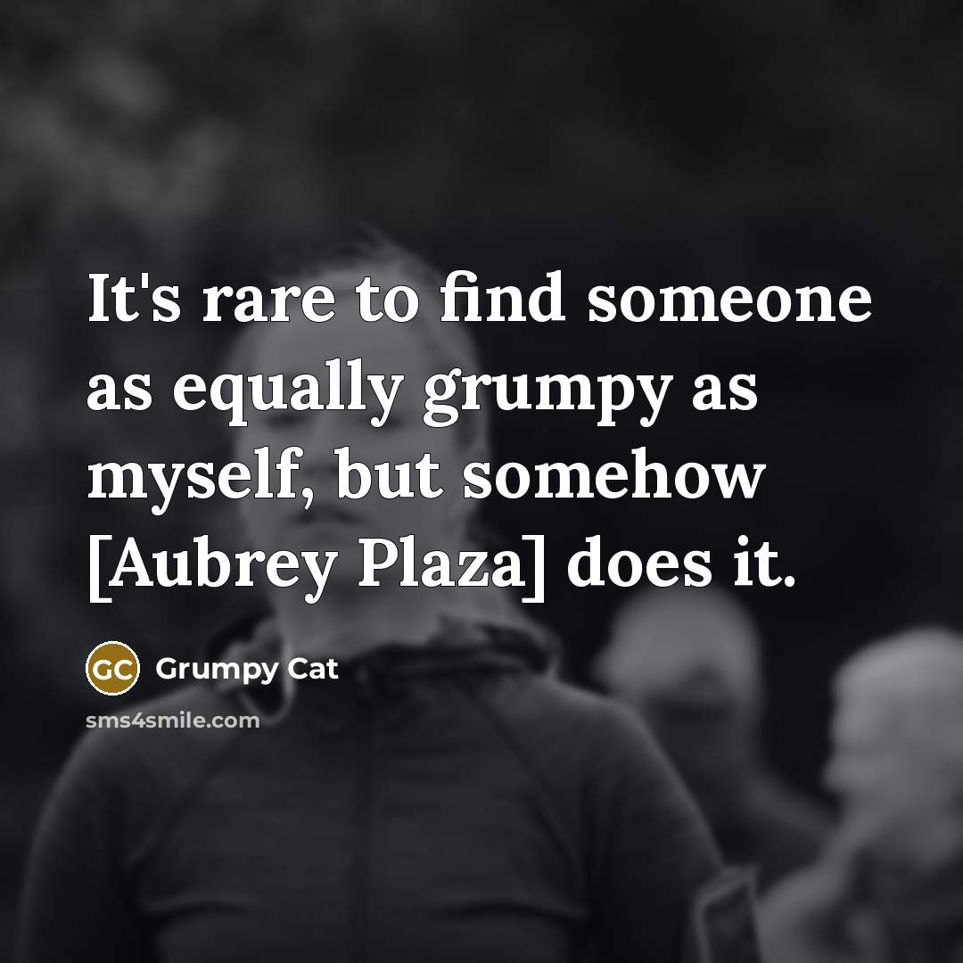 “It's rare to find someone as equally grumpy as myself,…” quote by Grumpy Cat