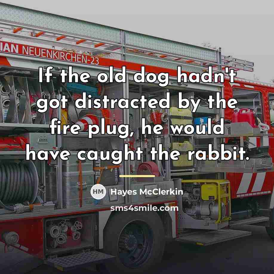 “If the old dog hadn't got distracted by the fire…” quote by Hayes McClerkin