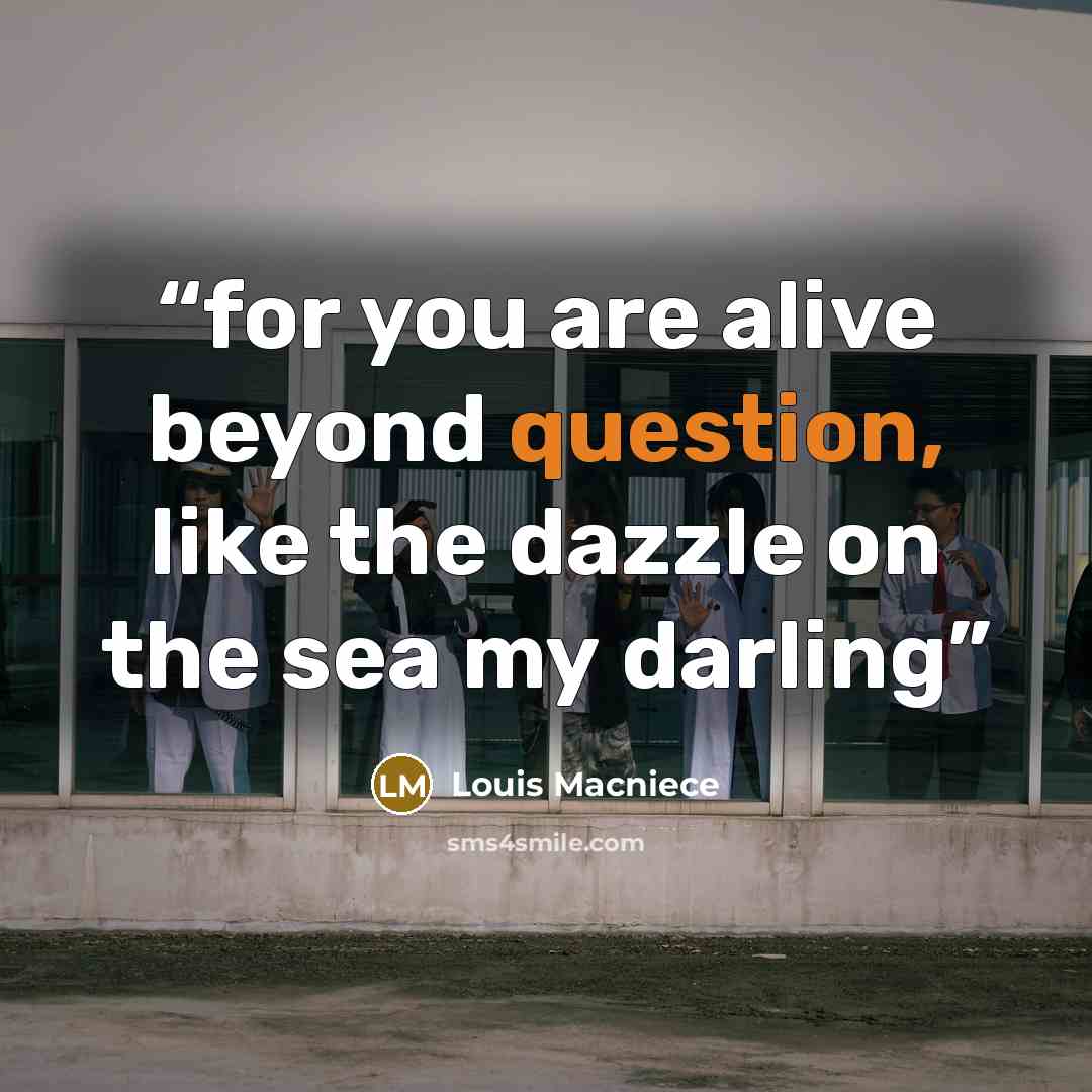 “for you are alive beyond question, like the dazzle on the sea my darling” quote by louis macniece