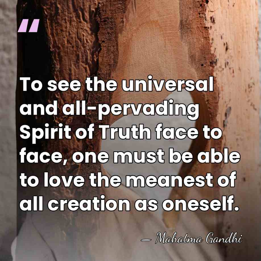 To see the universal and all-pervading Spirit of Truth face to face,&hellip; - Mahatma Gandhi