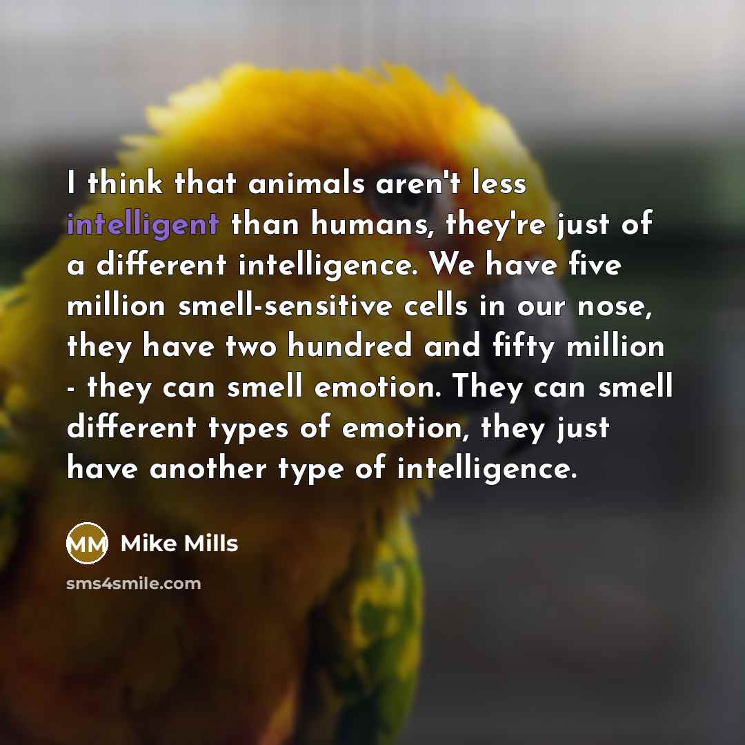 “I think that animals aren't less intelligent than humans, they're…” quote by Mike Mills