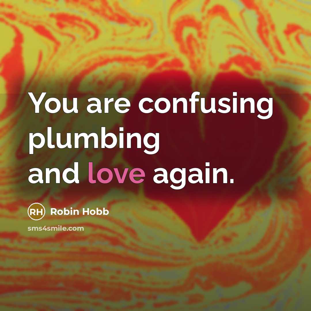 “You are confusing plumbing and love again.…” quote by Robin Hobb